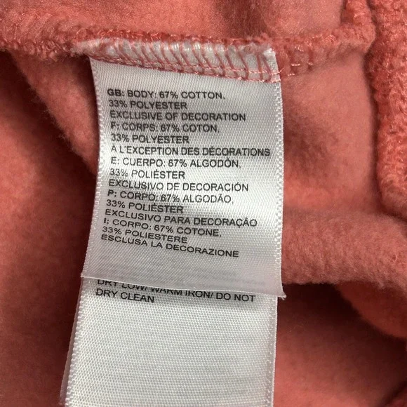 The North Face Hoodie Womens Large Pink Get Lost Moab Graphic Pullover Camping - Picture 8 of 14